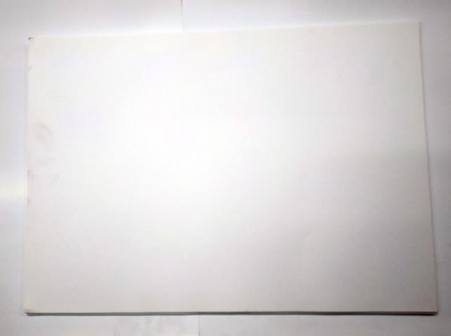 Neelam/Lotus Snow White Cartridge Paper (A3 25 Sheets)