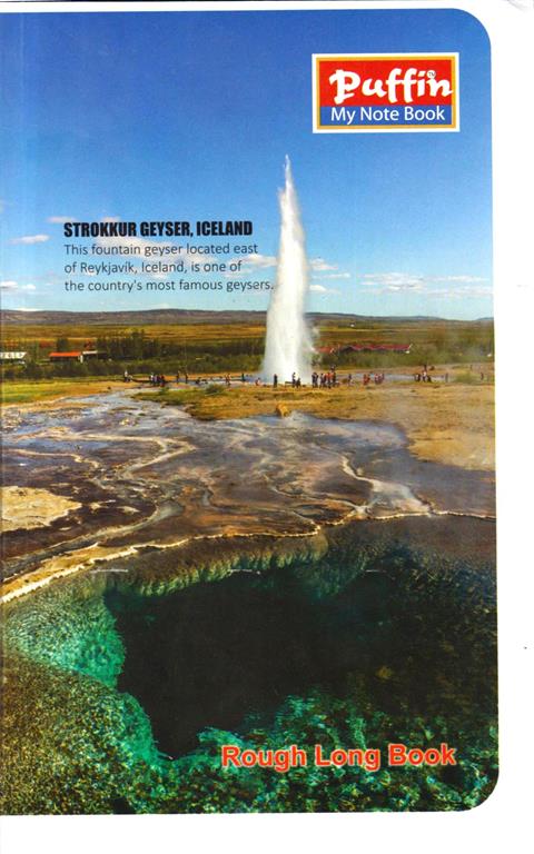 Doaba Puffin Rough Notebook 372 Pages (Regular Size 27.2X16.7 cm)